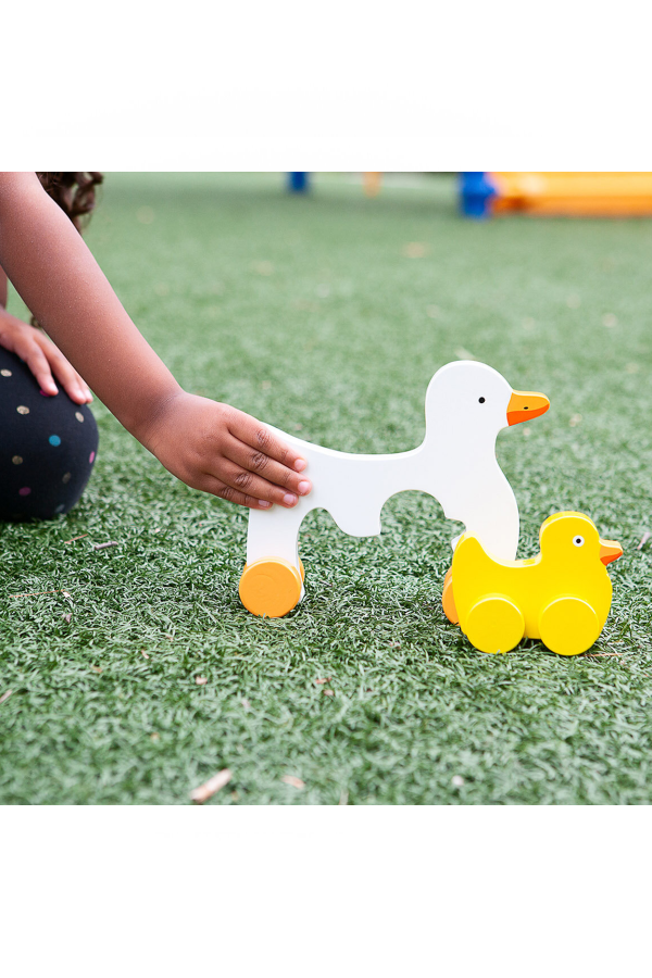 Big and Little Duck Push Toy