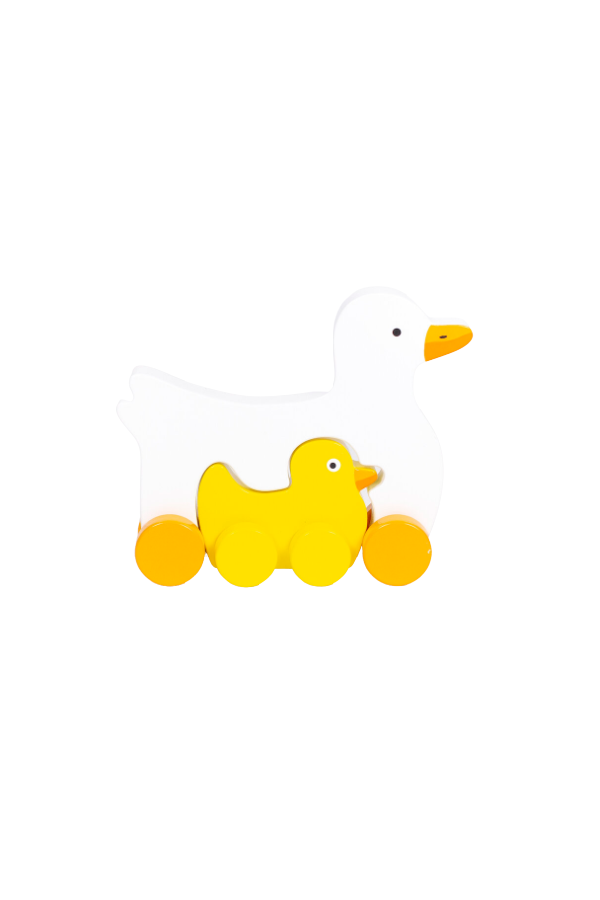 Big and Little Duck Push Toy