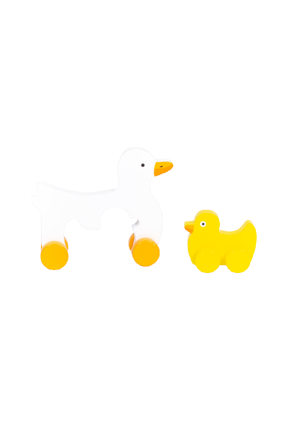 Big and Little Duck Push Toy