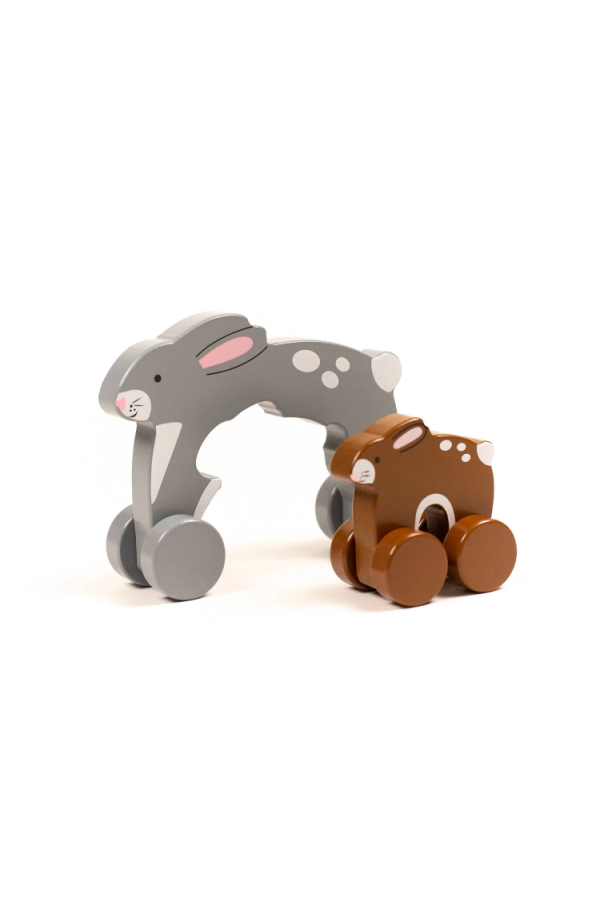 Big and Little Bunny Push Toy