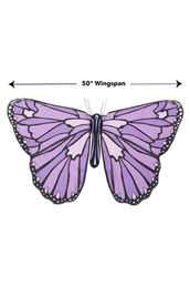 Colorful Butterfly Wings Costume