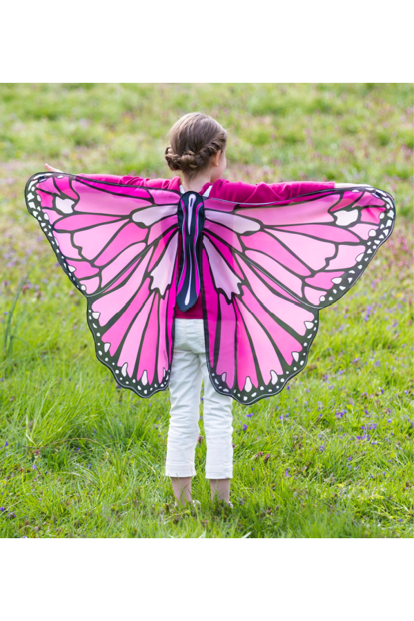 Colorful Butterfly Wings Costume