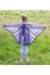 Colorful Butterfly Wings Costume