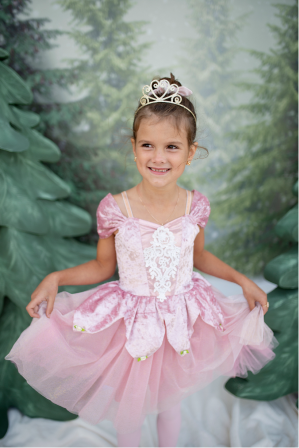 Prima Ballerina Dress - Dusty Rose