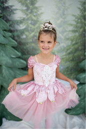 Prima Ballerina Dress - Dusty Rose