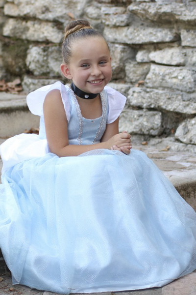 Deluxe Cinderella Gown
