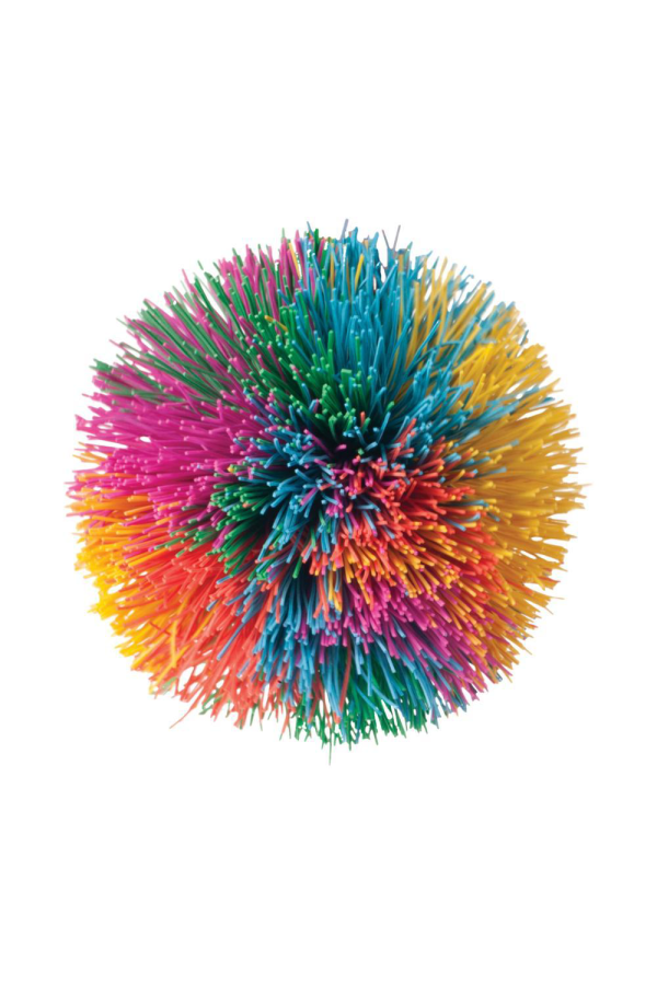 Rainbow Pom Ball