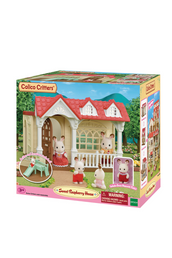 Sweet Raspberry Home Playset