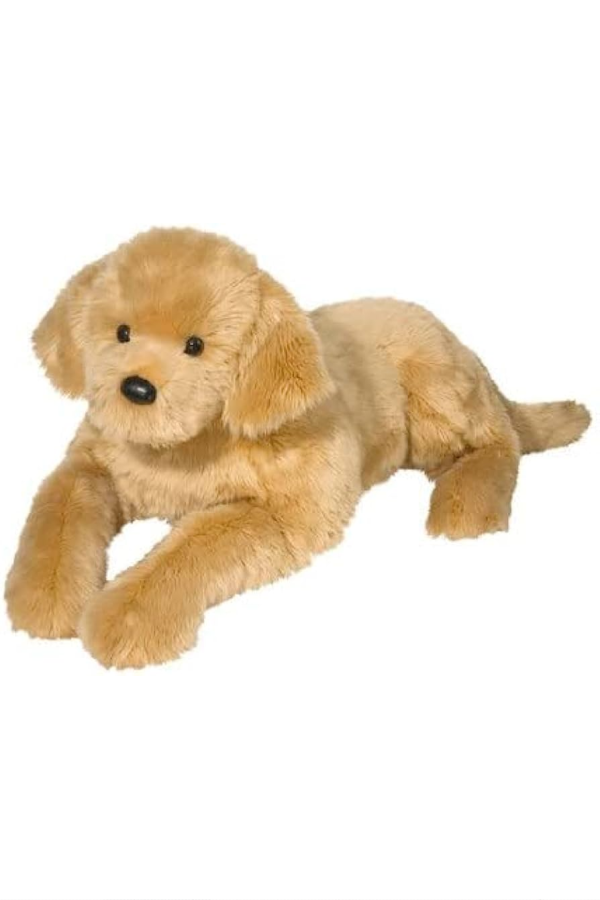 Sherman Large Golden Retriever