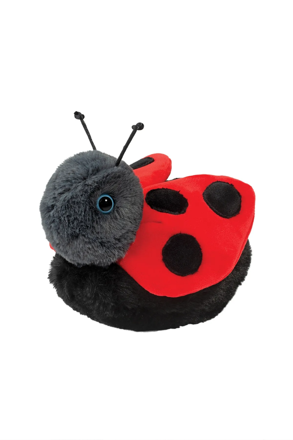 Bert Ladybug