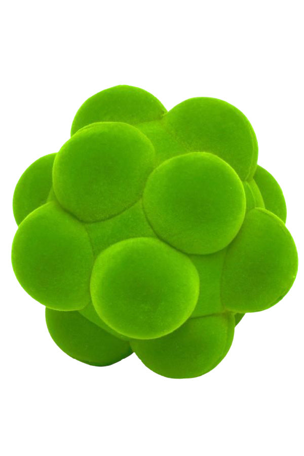 Sensory Balls