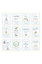 Month by Month Baby Cards